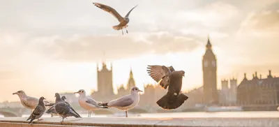 Language Abroad Kursy Językowe